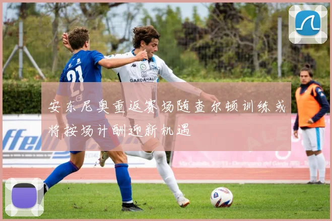 安东尼奥重返赛场随查尔顿训练或将按场计酬迎新机遇