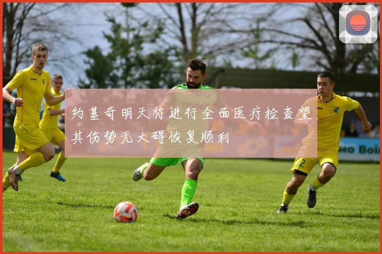 约基奇明天将进行全面医疗检查望其伤势无大碍恢复顺利